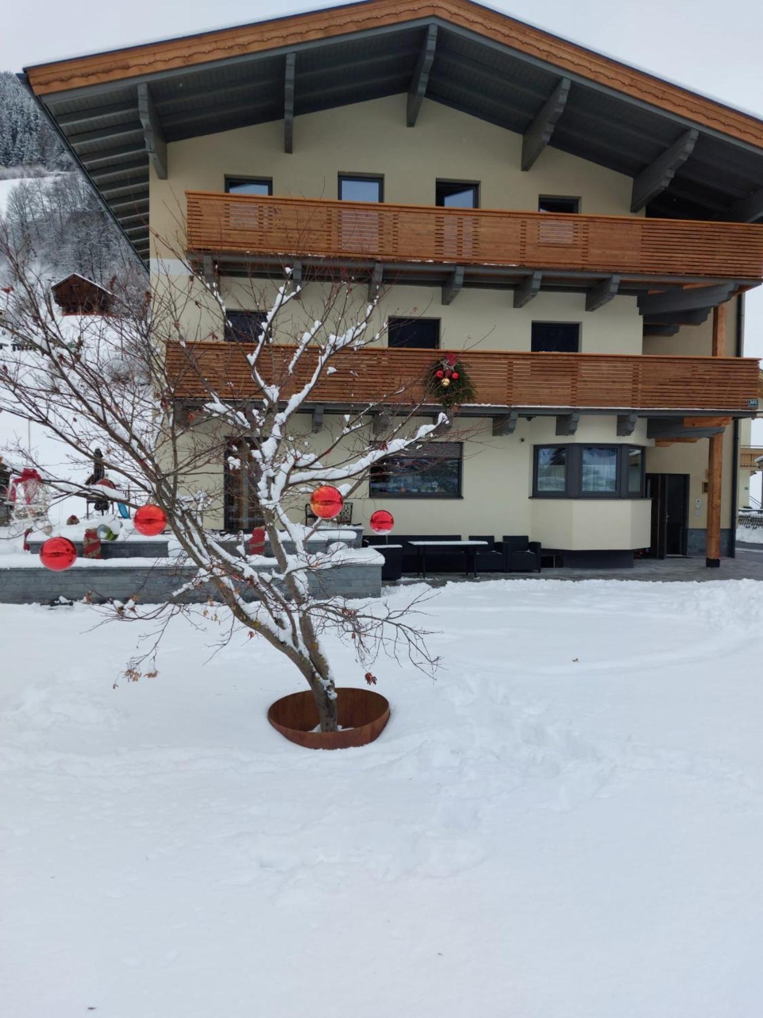 Appartement Reichholf ブラームベルク・アム・ヴィルトコーゲル エクステリア 写真