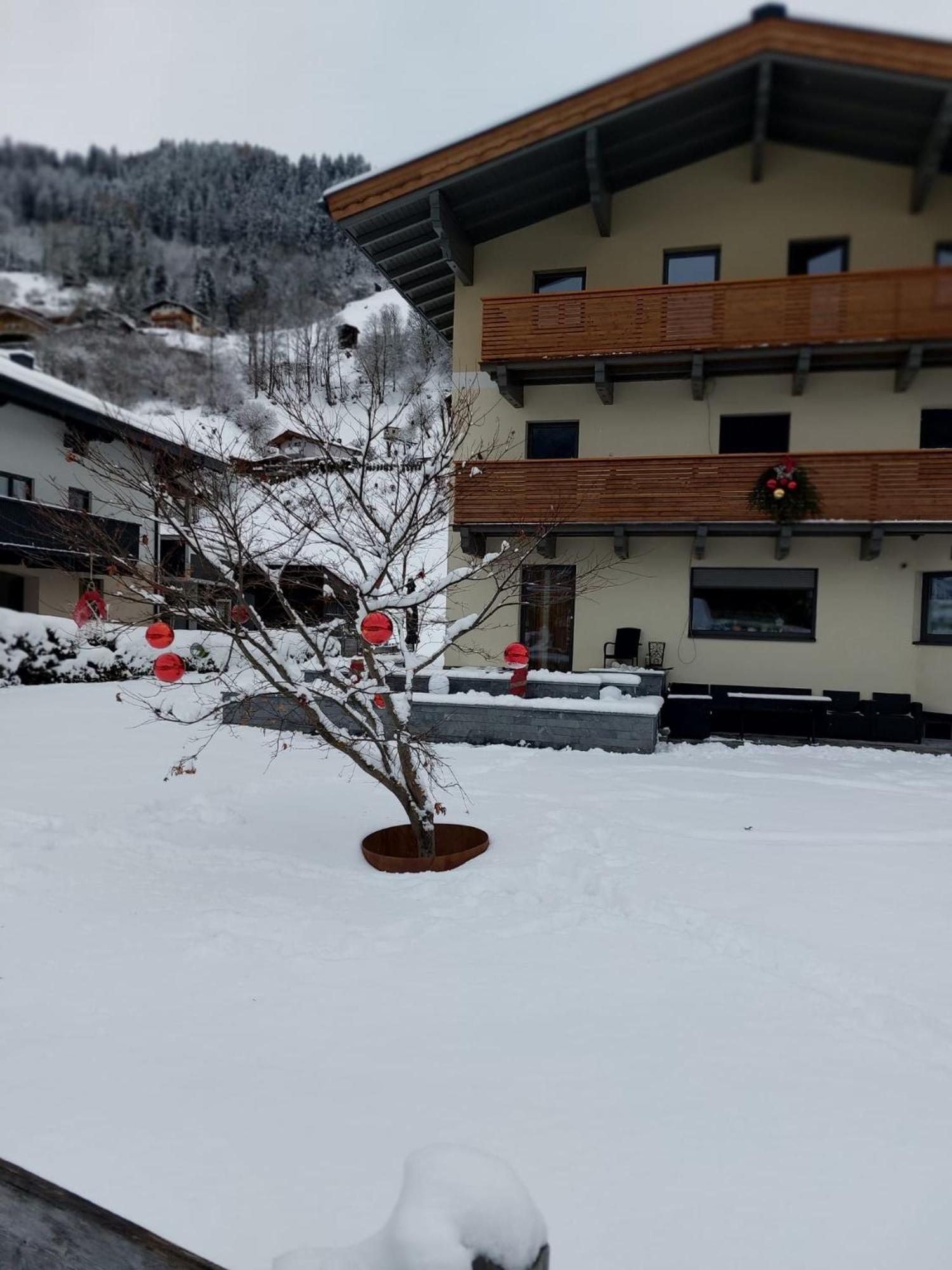 Appartement Reichholf ブラームベルク・アム・ヴィルトコーゲル エクステリア 写真